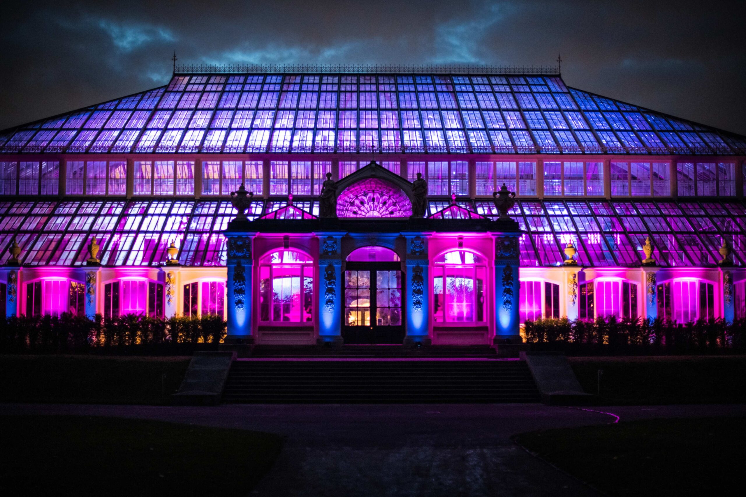 Best things to do at Kew this winter | Kew