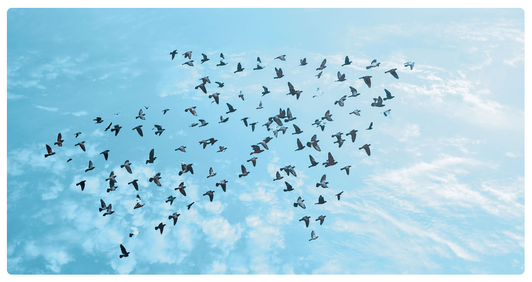 iStock_75108933_XLARGE