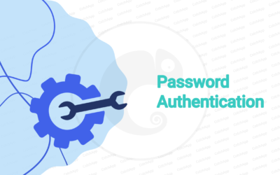 Password Authentication (How To)